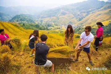 Private Day Tour of Longji Rice Terraces and Minority Villages