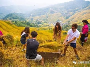 Longji rice terraces & minority villages private day tour