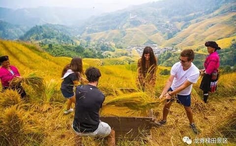 Private Day Tour of Longji Rice Terraces and Minority Villages
