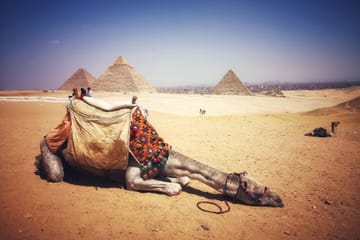 Nile Adventure – Felucca cruise