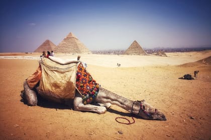 Nile Adventure – Felucca cruise