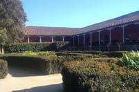 Private Casa Blanca Valley Wine Experience from Santiago 4