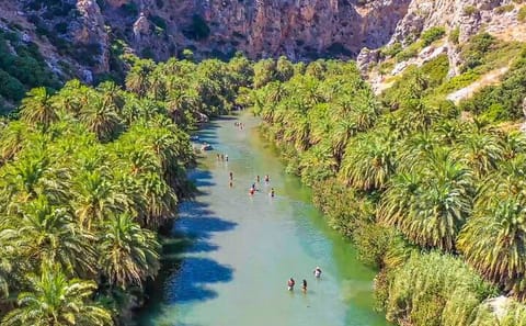 Full Day Tour to Preveli Palm Beach from Heraklion