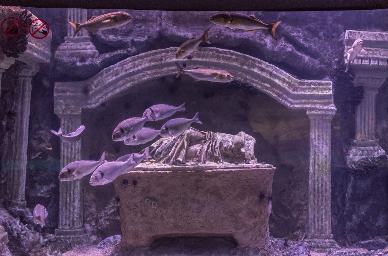 Antalya: Aquarium, Wax Museum & Combo Package Options 8