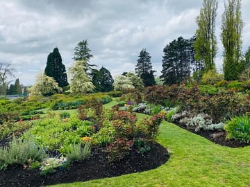 queen Elizabeth park