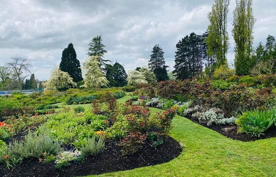 Vancouver City Tour With Grand Lunch and Wine