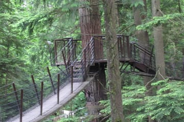 Best of Vancouver Highlights /Suspension Bridge/ Free Pizza Party Tour Private