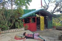 Bob Marley's Nine Mile Day-Trip with guided tour from Montego Bay 8