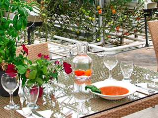 Private Gourmet Golden Circle Tour, photo 6