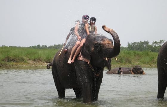 4 Days – Chitwan National Park Safari Wildlife Discovery (Filming Option)