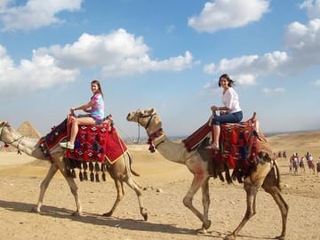 Private tour to Giza Pyramids, Sphinx and Grand Egyptian museum