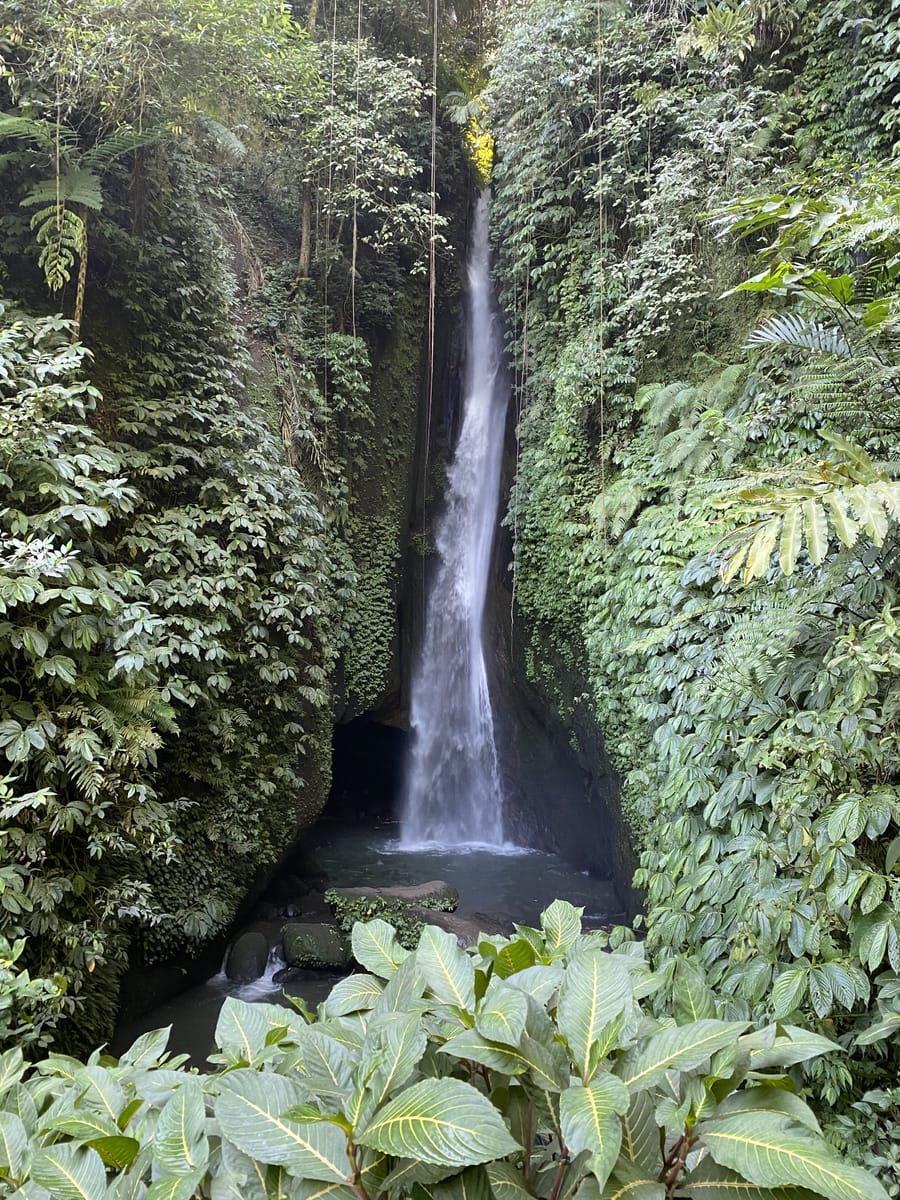 Bali Secret Waterfalls