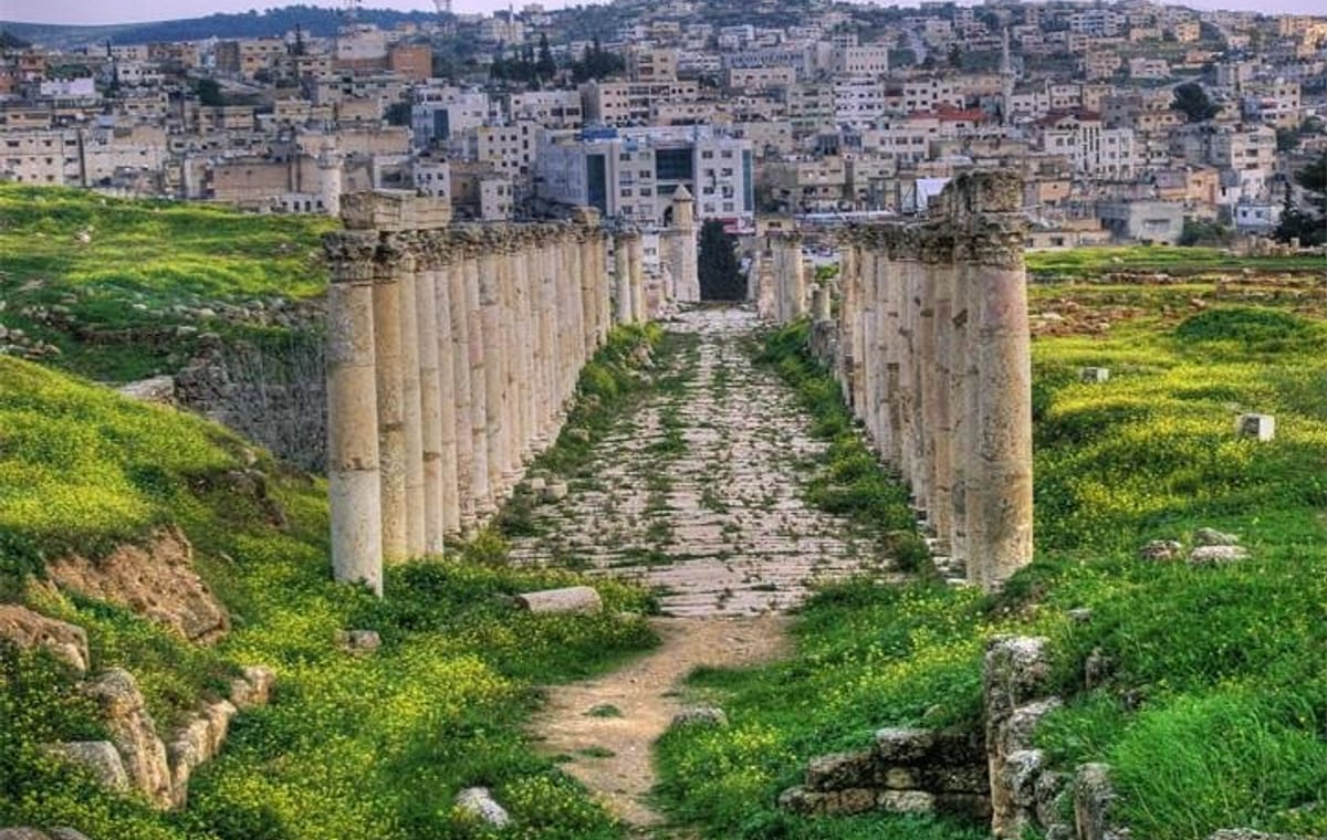 Private Half Day Tour to Jerash from Dead Sea