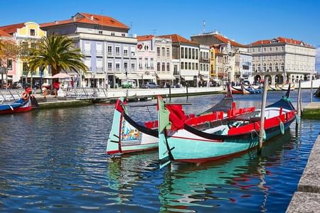Aveiro and Costa Nova with Moliceiro Cruise Half Day PRIVATE