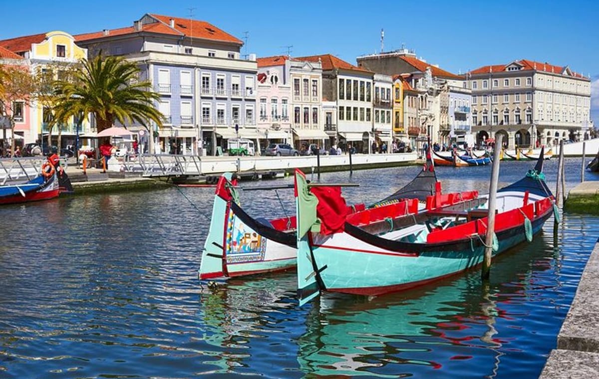 Aveiro and Costa Nova with Moliceiro Cruise Half Day PRIVATE