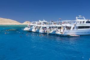 Ras Mohamed & White Island Snorkeling or Scuba Diving trip By Boat