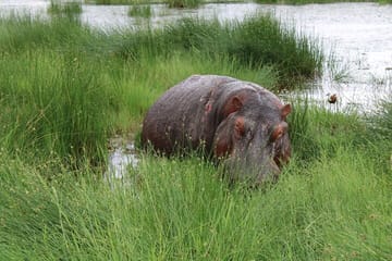 Private 6-Day Wildlife Photography Tour from Nairobi