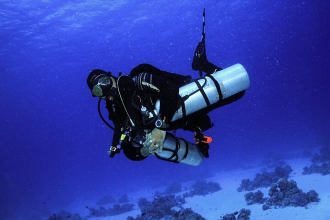 Snorkeling Sea Trip &amp; Diving Adventure with Lunch - Marsa Alam