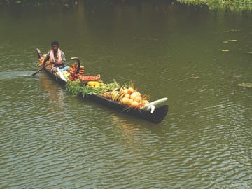 Cultural and Scenic Tour of Kochi and Alappuzha Backwaters