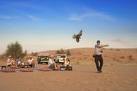 Dubai Evening Heritage Safari By Vintage Land Rover 10
