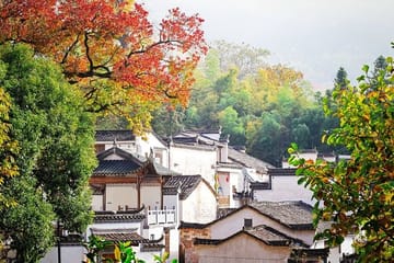 Private Half-Day Tour of Xidi Ancient Village from Huangshan