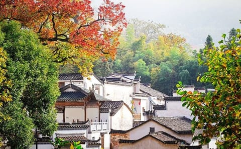 Private Half-Day Tour of Xidi Ancient Village from Huangshan