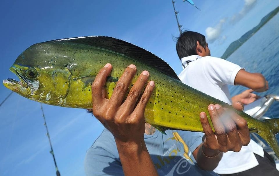 Big Game Fishing Expedition – Full Day at Sea