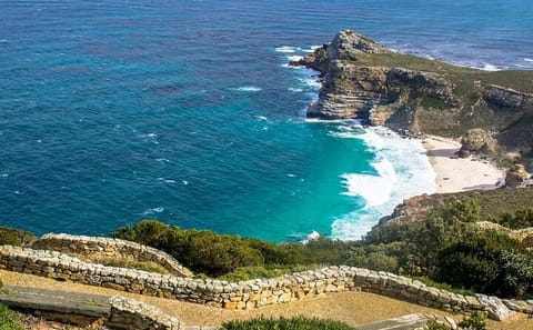 Cape Town Day Trip: Cape of Good Hope and Penguin Viewing