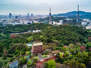 Private Guangzhou Lay Over Tour with 9 Options 3