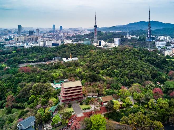 Private Guangzhou Lay Over Tour with 9 Options 3