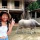 Mai Chau 2 Days 1 Night Classic Tour ( Biking - Thai Traditional Dance )