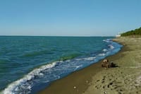 Discover Guria: Sea, Mountians, & Hidden Gems 1