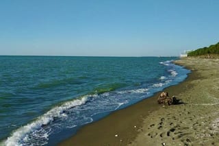 Discover Guria: Sea, Mountians, & Hidden Gems