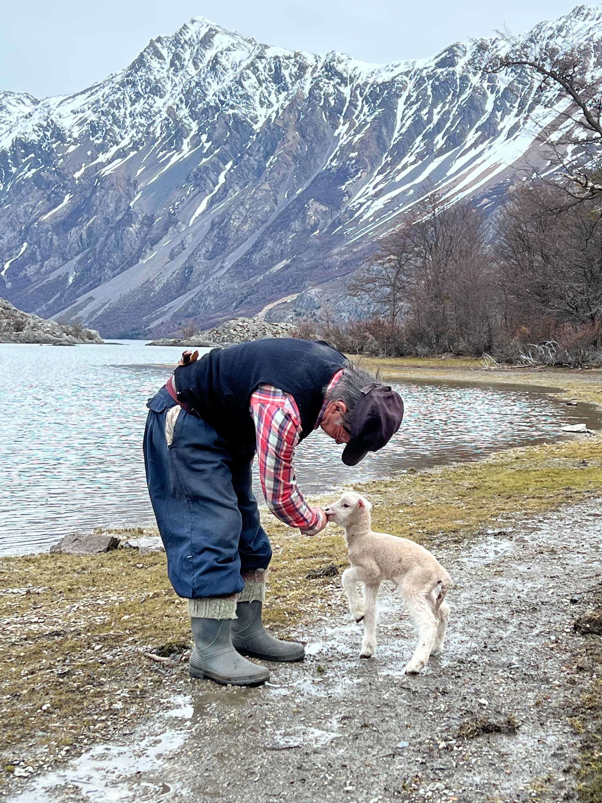el ratón Pradenas alimentando a su corderito junto al Lago Christie, Ruta Mayer, Villa O'Higgins
