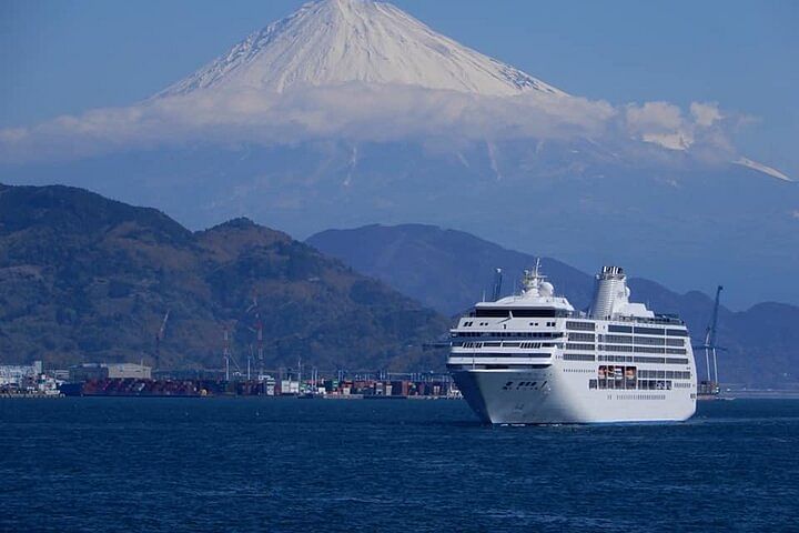 Private Sightseeing Tour from Shimizu Port /Small Bus