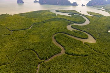 Samet Nangshe Viewpoint and Cheow Lan Lake Adventure Tour