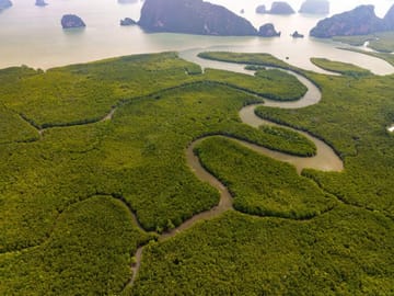 Samet Nangshe Viewpoint and Cheow Lan Lake Adventure Tour