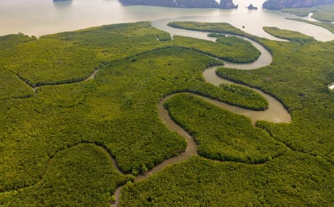 Phuket Day Tour: Samet Nangshe & Cheow Lan Lake