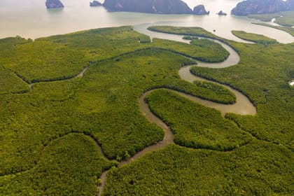 Phuket : Samet Nangshe and Cheow Lan Lake Adventure Day Tour