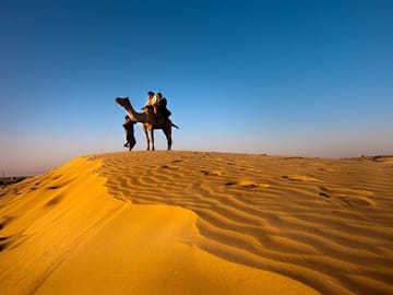 3 Day Jaisalmer Desert and Kheechan Bird Tour from Jodhpur