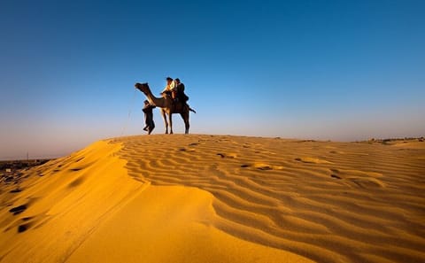 3 Day Jaisalmer Desert and Kheechan Bird Tour from Jodhpur