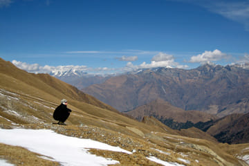 Beni to Lower Dolpo Camping & Trek – 22 Days of Wild Solitude & Bon Monasteries