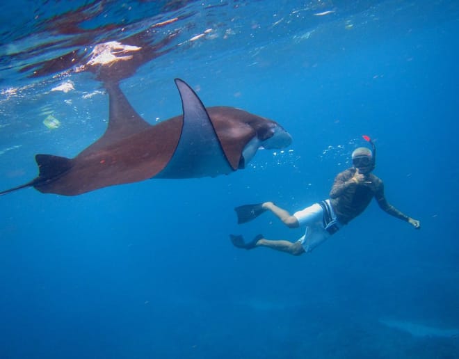 Bali Marine: Swim with Manta Rays in Nusa Penida photo 4