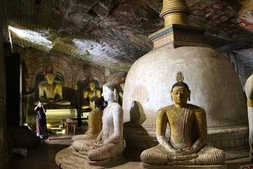 Luxury 10-Day Private Tour of Anuradhapura and Central Sri Lanka