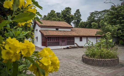 Ahmedabad Heritage Trail: Explore History and Culture