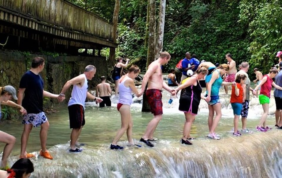 Dunn's River Falls and Luminous Lagoon Tour from Falmouth