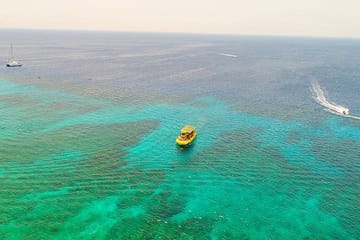 Glass Bottom Boat Tour and Wildlife Experience in West Bay