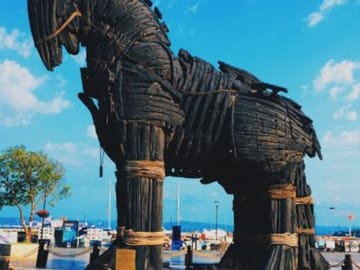 Full Day Troy Tour
