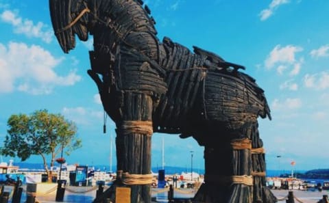 Full Day Troy Tour