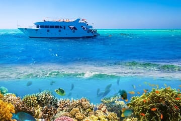 Ras Mohamed & White Island Snorkeling Cruise from Sharm El Sheikh